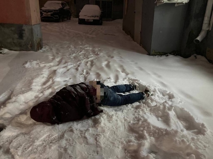 В новогодние каникулы в сугробах замёрзли несколько орловчан