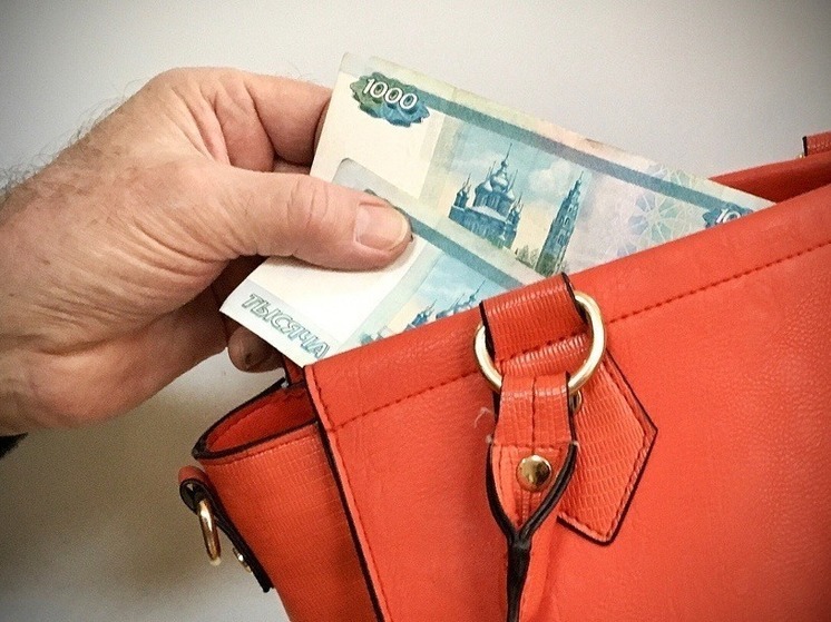 В Калмыкии возбудили уголовное дело по подозрению в краже сумочки
