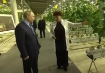 Во время посещения Чукотки президент России Владимир Путин осмотрел фермерское хозяйство Макатровых