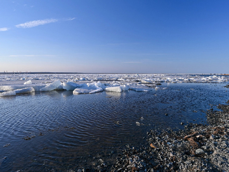 Ученые из 3 регионов признали воду в Оби на Ямале чистой