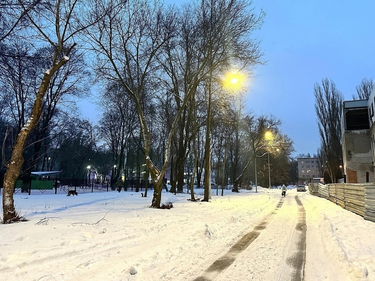 В Липецке на дороге к школе №47 появилось освещение