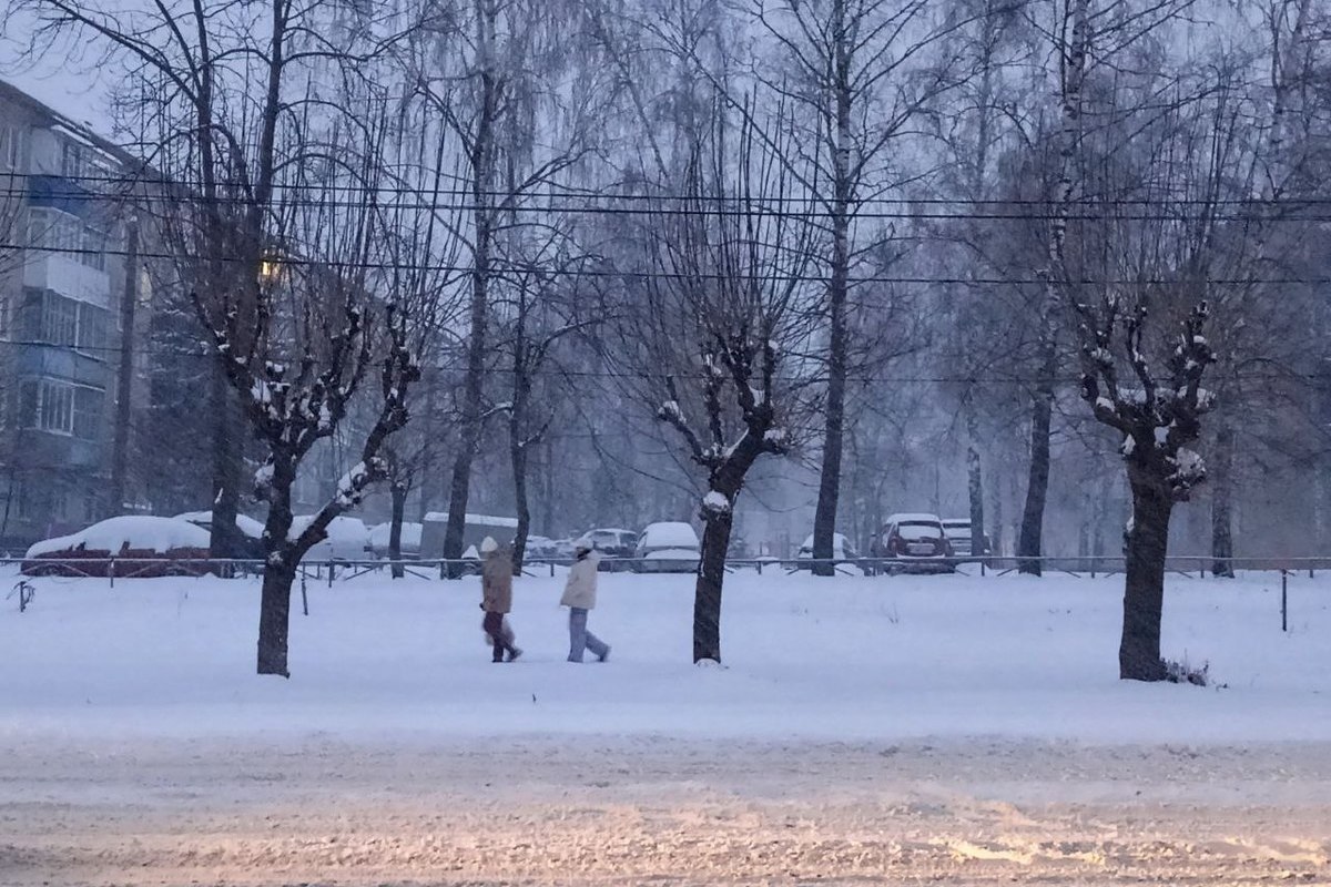 Пензенцев предупредили о сильных морозах и снегопаде 11 января