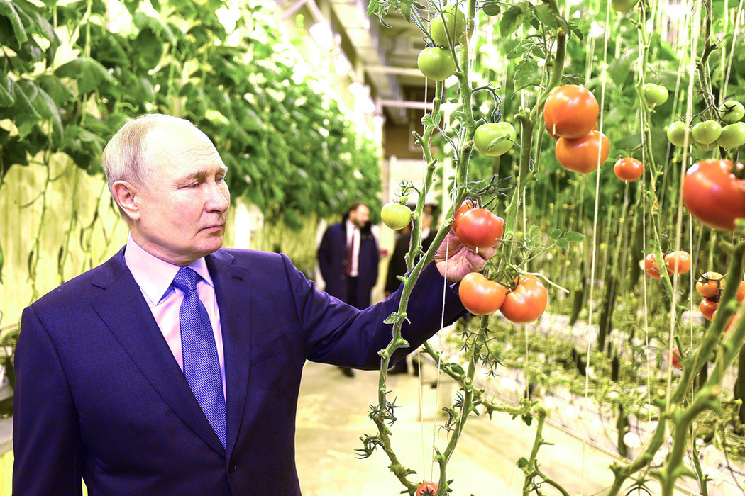 Владимир Путин впервые посетил Чукотку: кадры c помидорами и не только