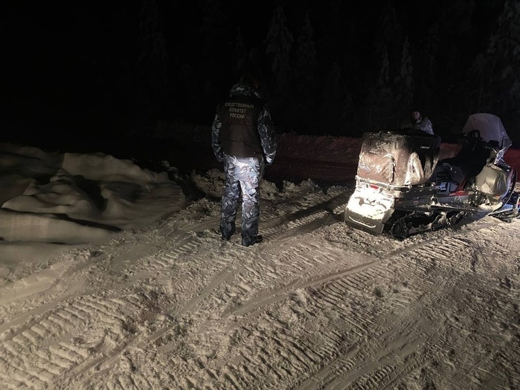 Охотник случайно застрелил приятеля на севере Карелии