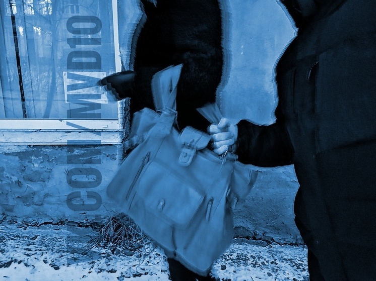 Мужчина в поселке Карелии пытался совершить грабеж на рывок