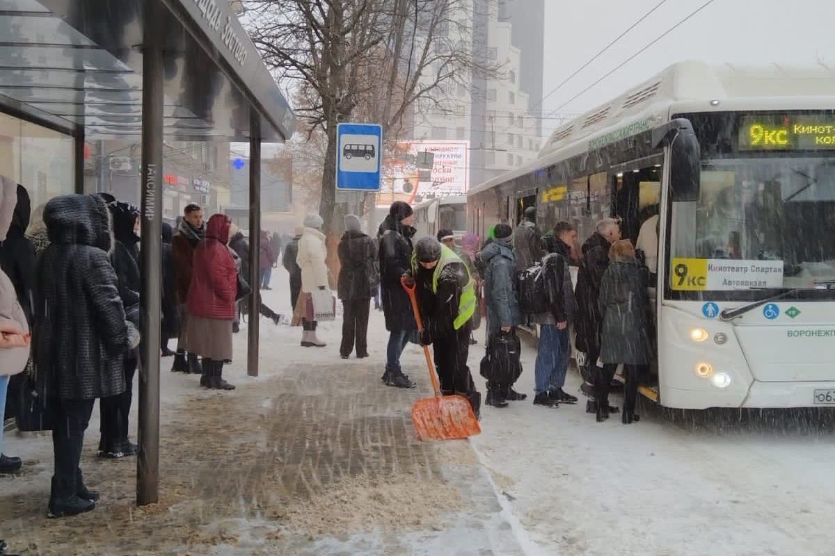 Дефицит пассажирского транспорта в Воронеже объяснили нехваткой водителей