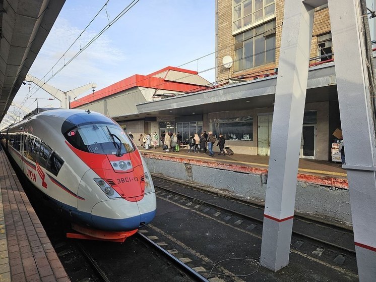 В Петербурге штраф за безбилетный проезд в поезде вырос до 1,12 тысячи рублей