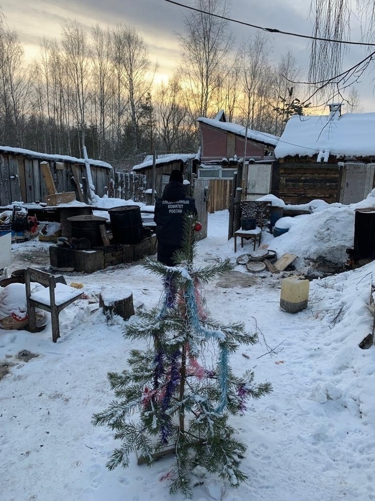 Житель Гусь-Хрустального района обвиняется в убийстве брата