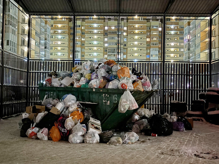 В холоде и мусоре: жители Ленобласти рассказали, как встретили 2024 год