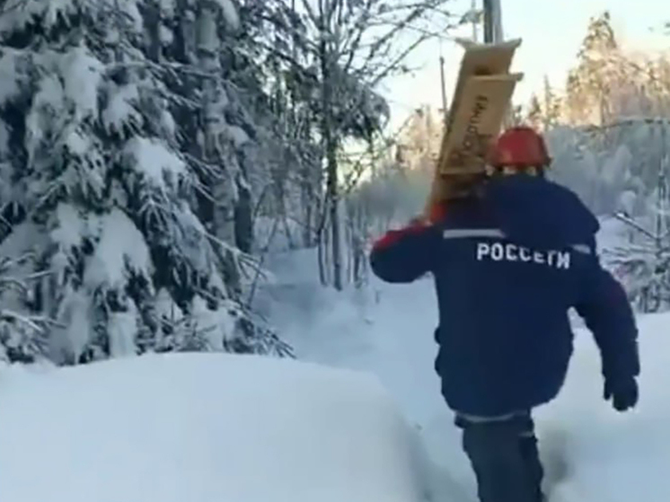 Новый год при свечах и в лесу: как в Новгородской области восстанавливали электроснабжение