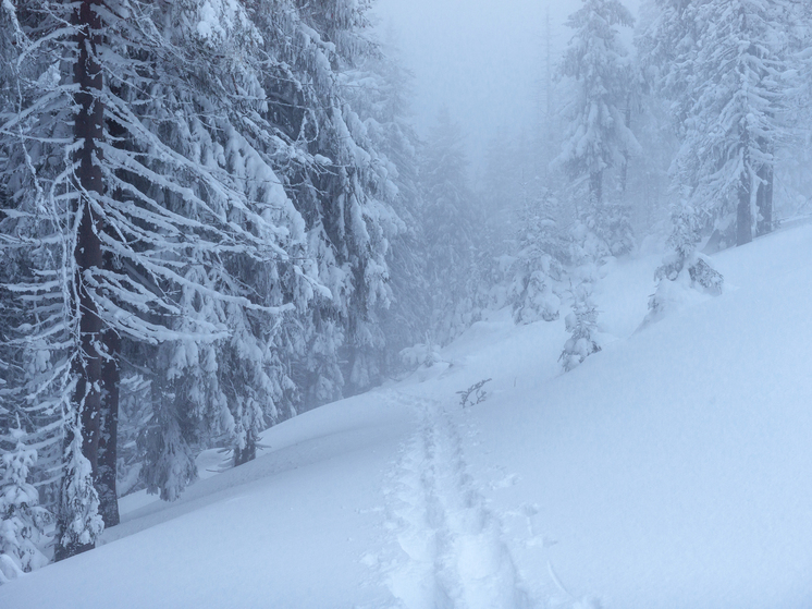 Желтый уровень опасности объявлен в Карелии