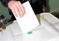 Молодежный совет Калининского района Санкт-Петербурга и территориальная избирательная комиссия №38 выпустили карточную игру про выборы под названием "Кандидат"