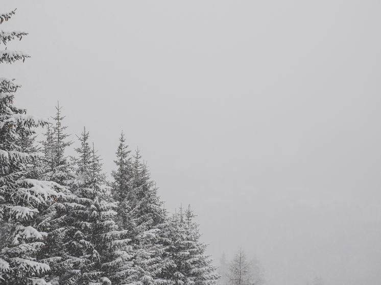 Спасатели в Карелии рассказали, как уберечь себя во время метели