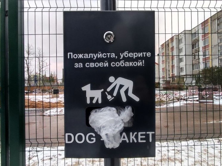 В Мурманске проверят, как владельцы собак соблюдают правила выгула