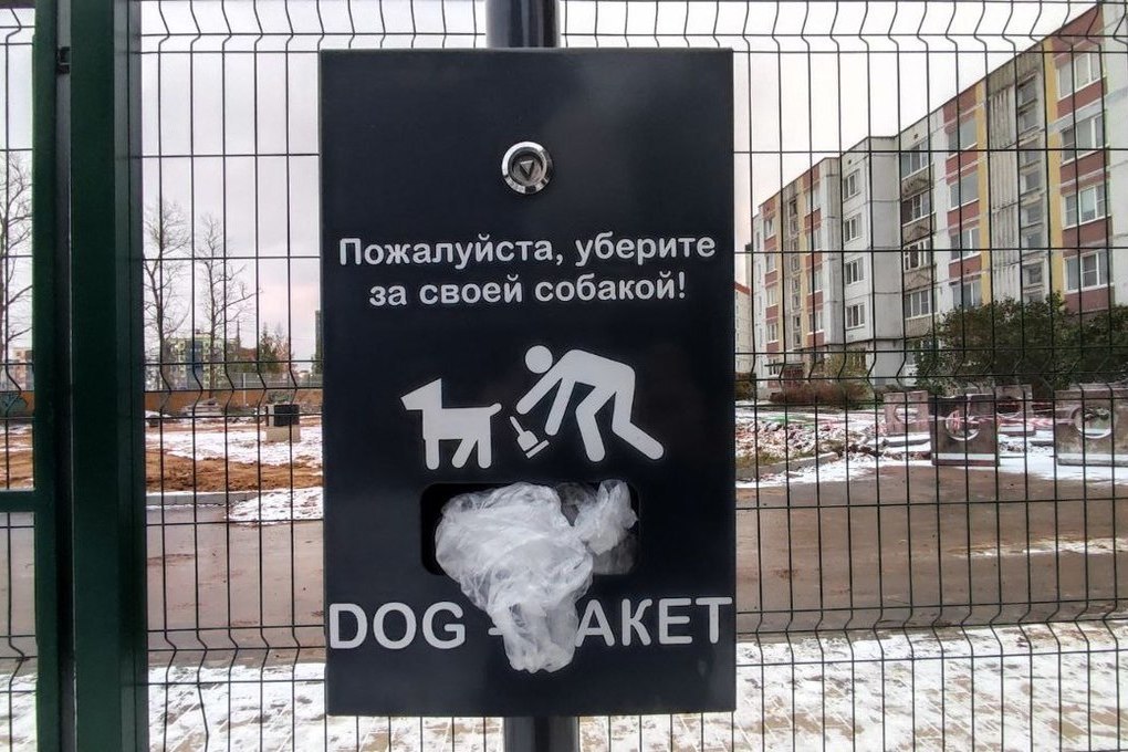 В Мурманске проверят, как владельцы собак соблюдают правила выгула