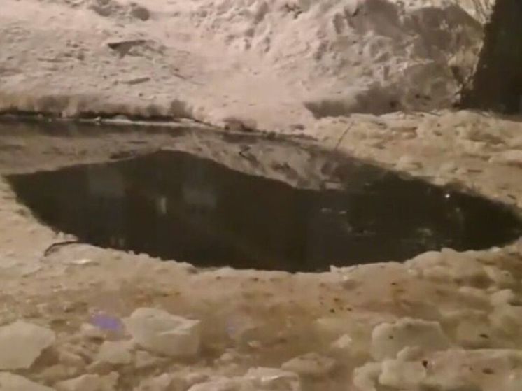 В Подмосковье неравнодушные люди делают проруби в водоемах для уток