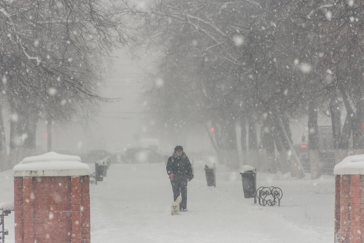 В Рязанской области выпустили метеопредупреждение из-за ветра, снега и гололёда