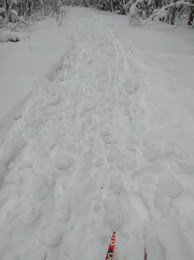 Наркоманы испортили лыжню в Сегеже, пожаловались в соцсетях