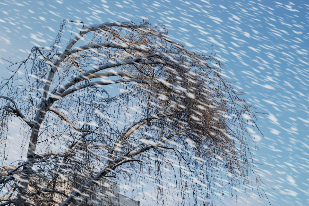 11 января в Ивановской области ожидаются сильные снегопады и снежные заносы