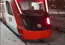 В центре Москвы на станции Московского центрального диаметра (МЦД) "Рижская" поезд сбил трех человек