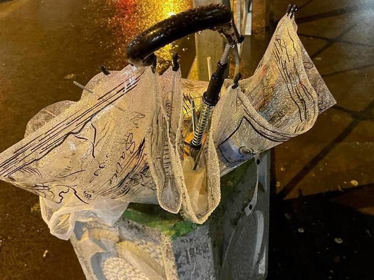 В Калининградской области ожидается усиление ветра до 15 м/с
