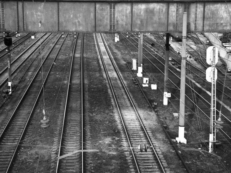 Стали известны подробности гибели трех человек под колесами электрички в Москве