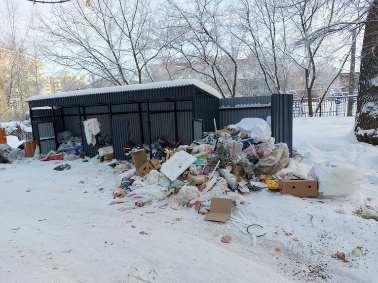 Ярославцам объяснили горы мусора на контейнерных площадках суровыми погодными условиями