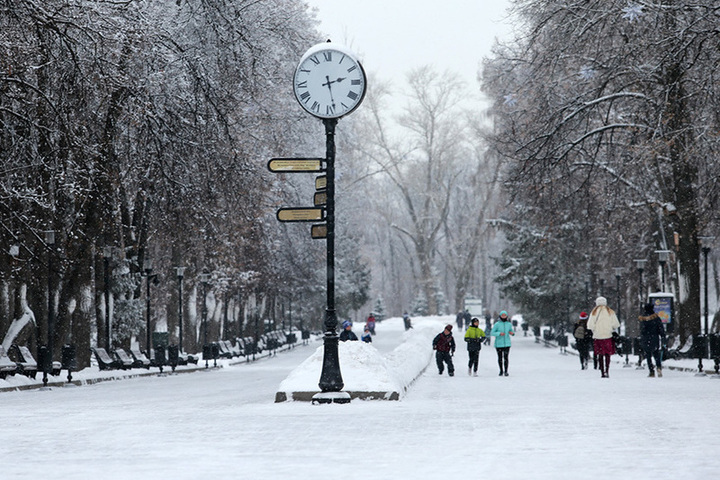 Семейный фестиваль в казанском парке Горького состоится 20 января