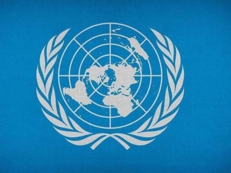 Совбез ООН принял проект резолюции с осуждением атак хуситов в Красном море