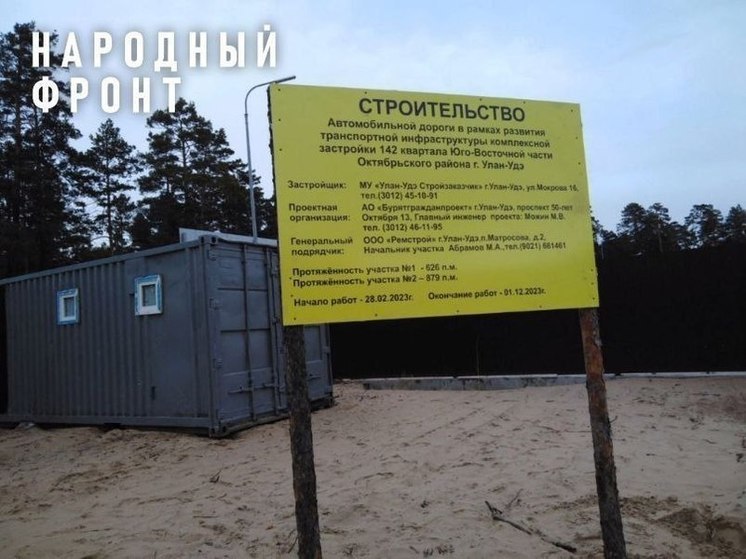 В Улан-Удэ вырубили 769 деревьев для строительства несуществующей дороги