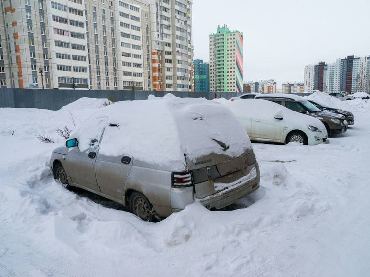 Челябинская область оказалась в лидерах по кражам авто
