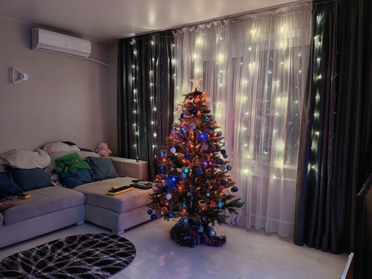 Рассказываем, как правильно распрощаться с деревцем после праздников