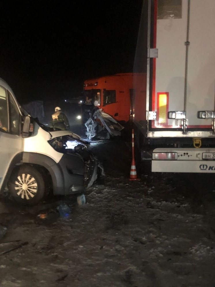 Двое человек погибли и 13 пострадали в ДТП с маршруткой по дороге в Новосибирск