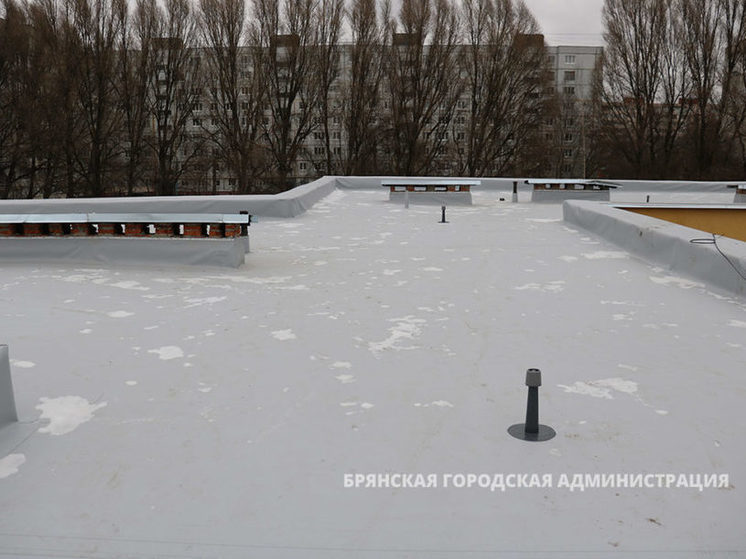 Капремонт крыш детсадов и школ почти завершился в Брянске