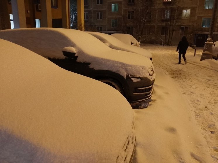 Жители Подмосковья этим утром вновь взяли в руки лопаты