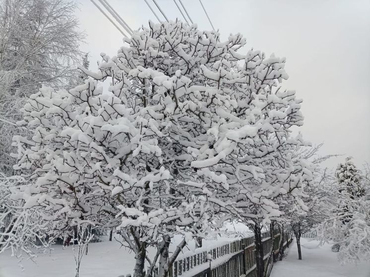 В Подмосковье объявлен «желтый» уровень погодной опасности