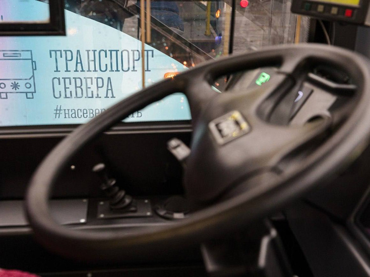 Жителям Кировска и Апатитов напомнили о льготном проезде до аэропорта «Хибины»