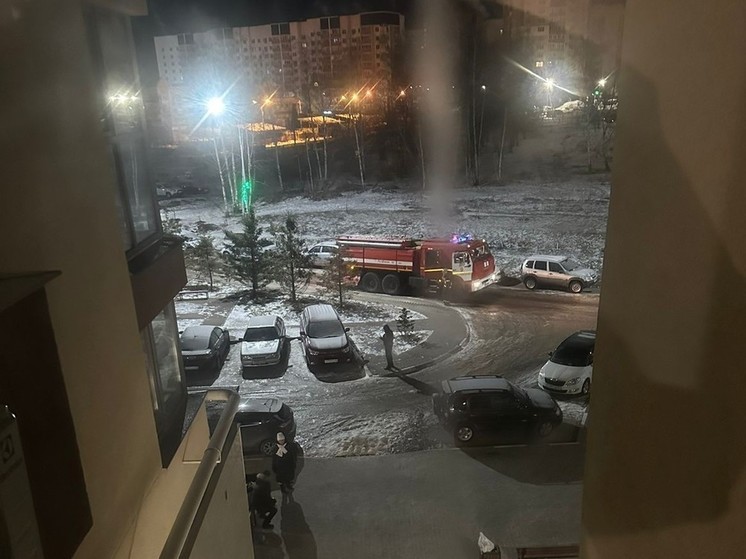 В Рязани ликвидировали пожар в 24-этажном доме на Васильевской улице