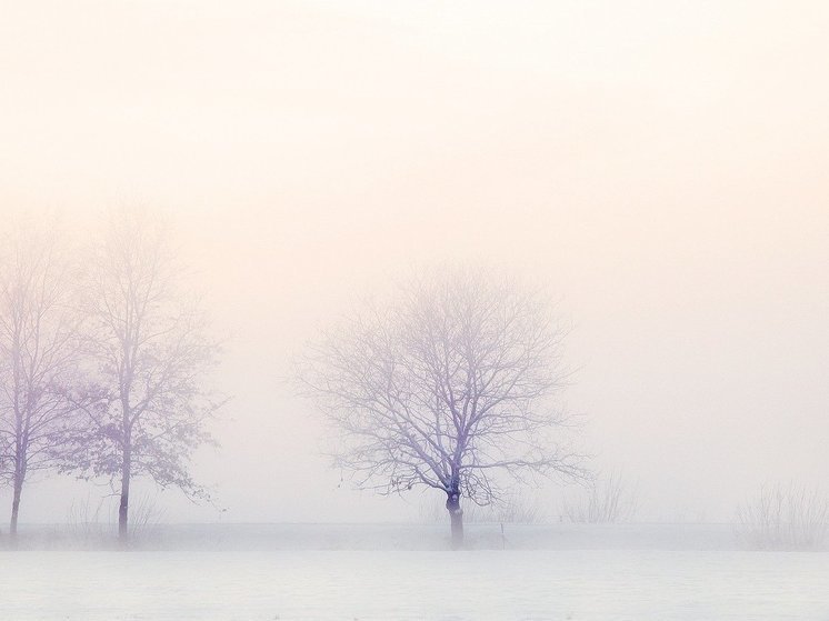 В Москве началась сильная метель