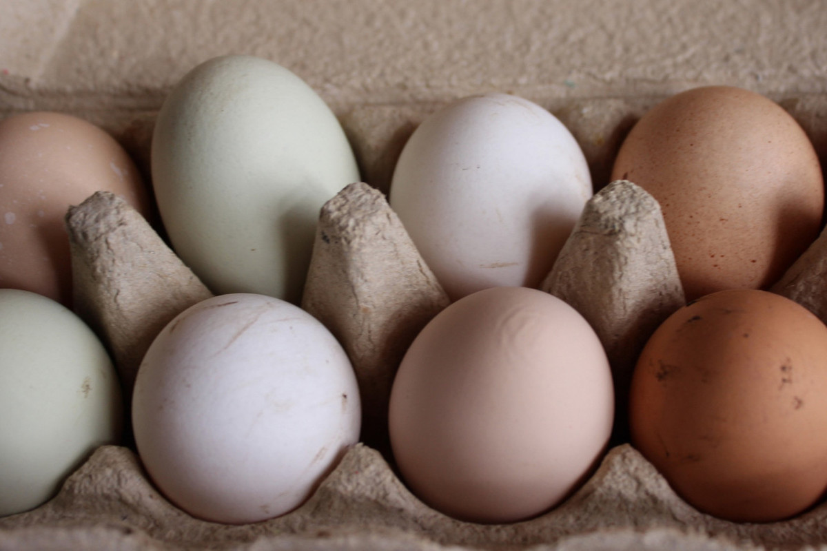Торговые сети Запорожской области обязались снизить цены на куриные яйца