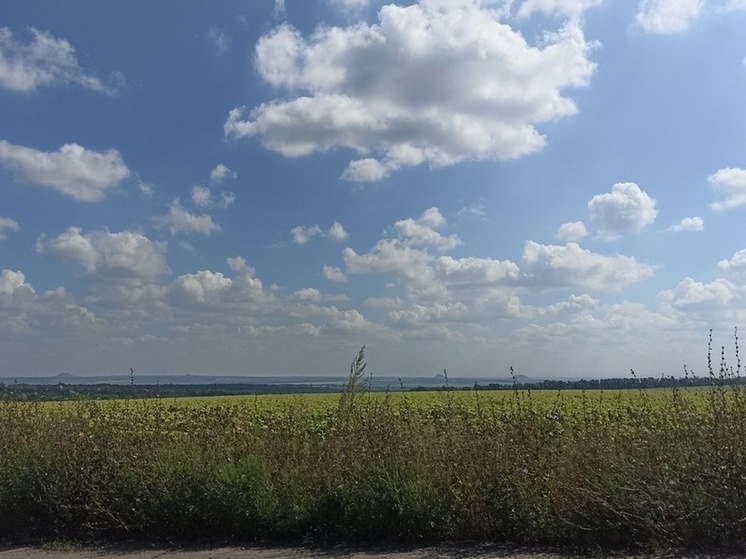 В ДНР собран рекордный урожай зерновых