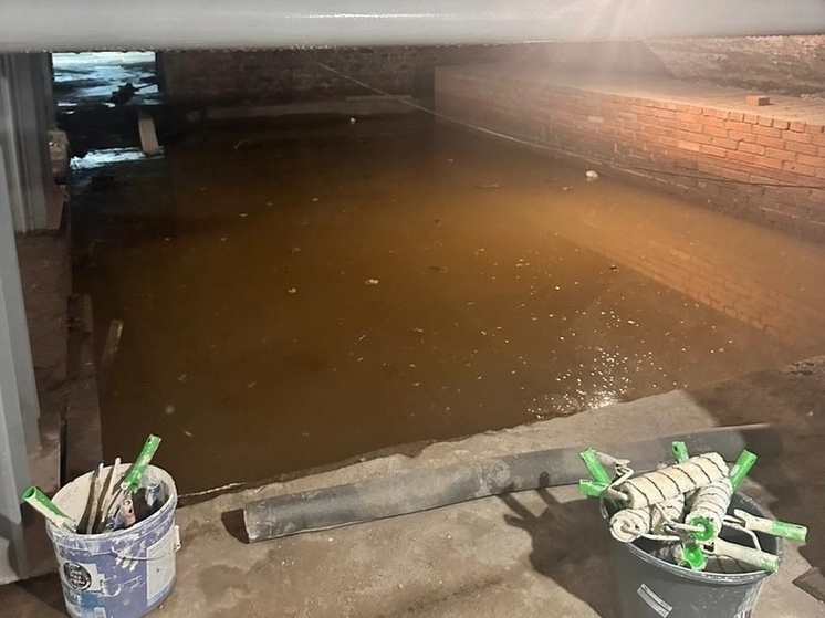 Жители одного из домов Выборга пожаловались на подвал, заполненный канализационными водами