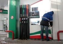 На российских заправках в феврале бензин будет стоить 55-56 рублей за литр