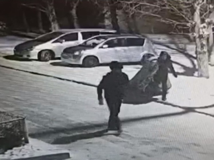 Кража портативного гаража попала на видео в Чите
