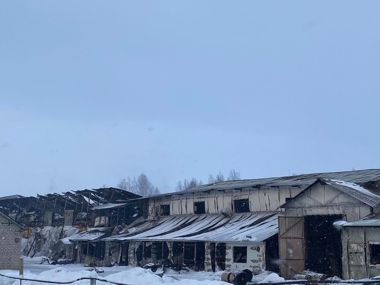 Правительство Ярославской области поможет восстановить «Сады Аурики»