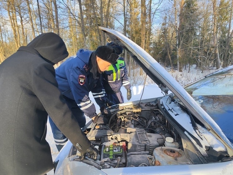 Новгородцы в соцсетях благодарят автоинспекторов за помощь на дороге