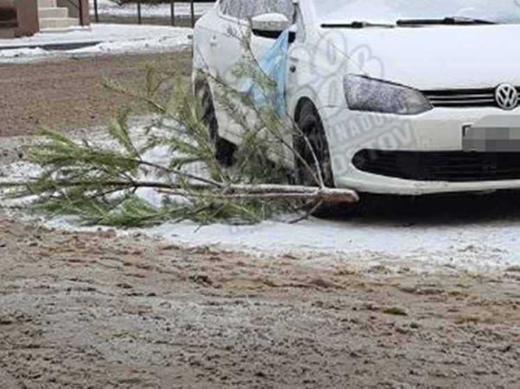 В Ростове машину автохама забросали елками