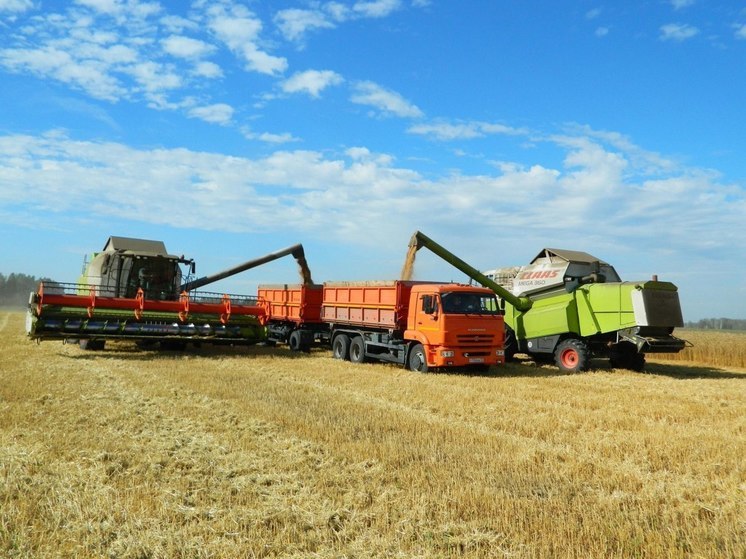Хорошие урожаи в Тюменской области обеспечивают люди и техника