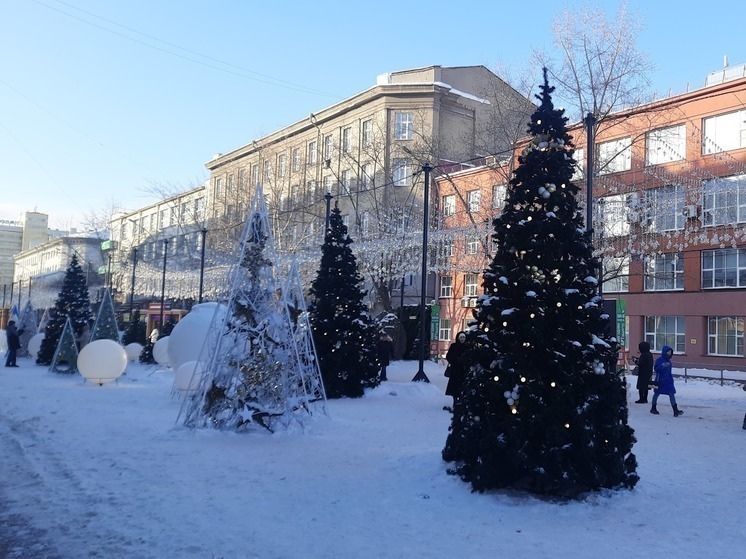 В Новосибирске резко потеплеет после морозов в январе
