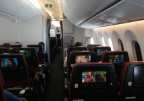 Один из путешественников опубликовал  на форуме Reddit сообщение о происшествии на борту американской авиакомпании Delta Air Lines в канун Рождества